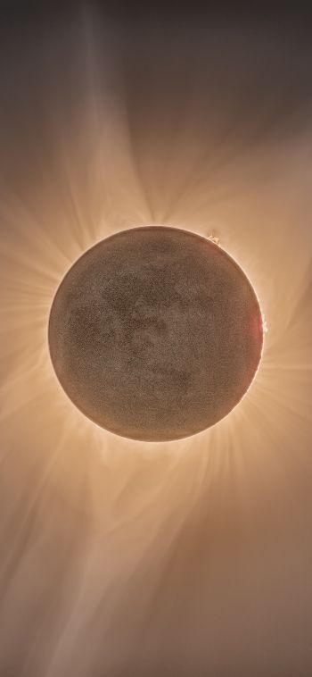 eclipse, moon, sun Wallpaper 1080x2340