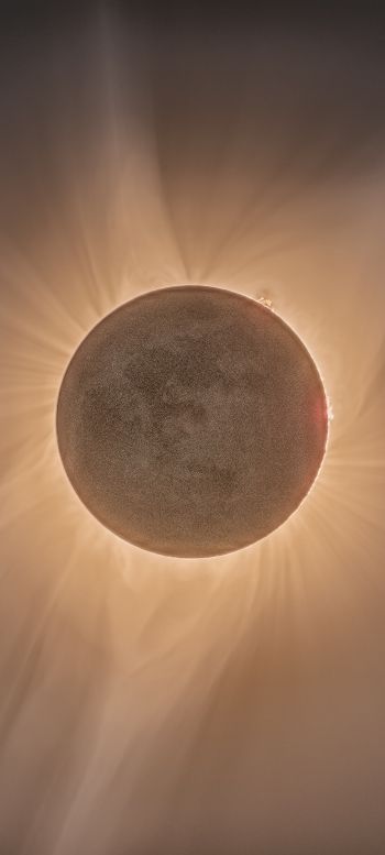 eclipse, moon, sun Wallpaper 1080x2400