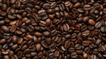coffee beans Wallpaper 1366x768