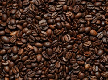 coffee beans Wallpaper 1024x768