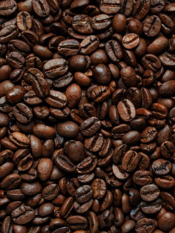 coffee beans Wallpaper 1536x2048