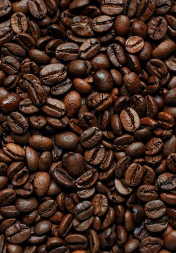 coffee beans Wallpaper 1668x2388