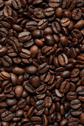 coffee beans Wallpaper 640x960