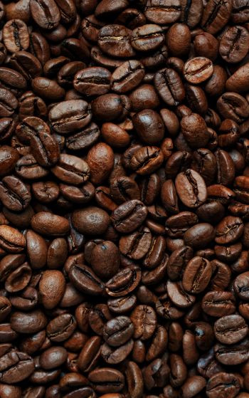 coffee beans Wallpaper 1752x2800