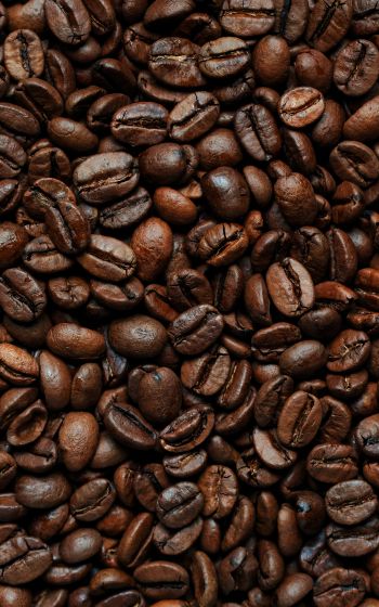 coffee beans Wallpaper 800x1280