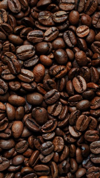 coffee beans Wallpaper 640x1136