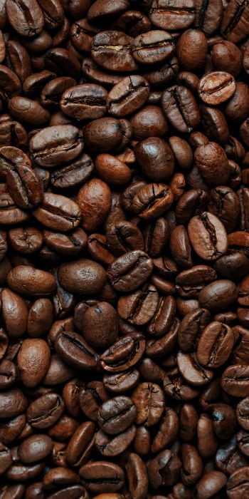 coffee beans Wallpaper 720x1440