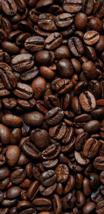 coffee beans Wallpaper 1440x2960