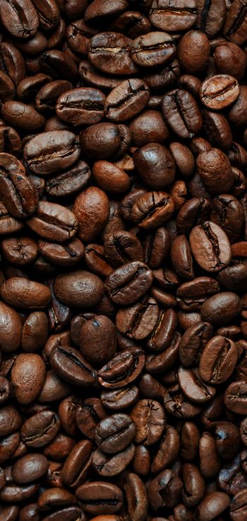 coffee beans Wallpaper 720x1520