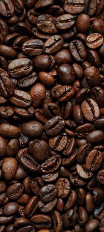 coffee beans Wallpaper 1440x3200