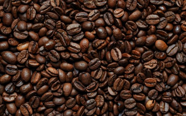 coffee beans Wallpaper 2560x1600