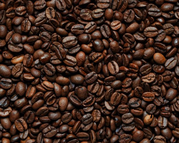coffee beans Wallpaper 1280x1024