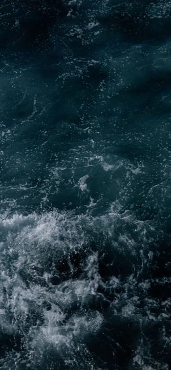 sea, waves, foam Wallpaper 828x1792