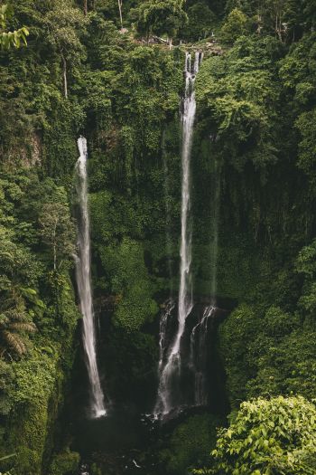 Sekumpul Waterfall Wallpaper 640x960