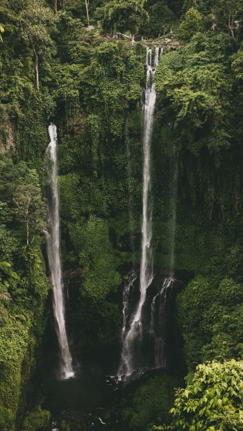 Sekumpul Waterfall Wallpaper 640x1136