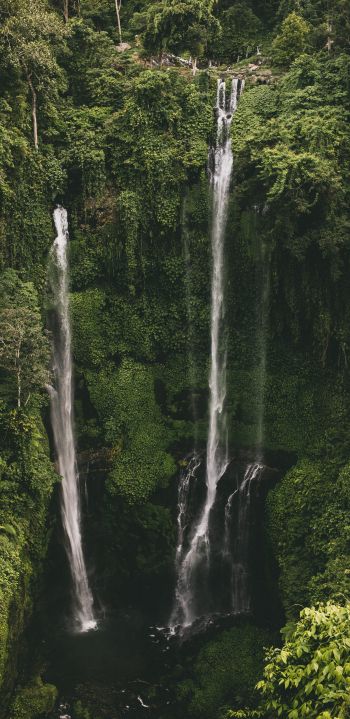 Sekumpul Waterfall Wallpaper 1080x2220