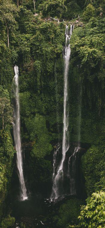 Sekumpul Waterfall Wallpaper 1284x2778