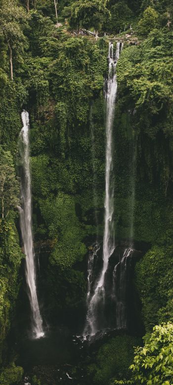 Sekumpul Waterfall Wallpaper 1080x2400