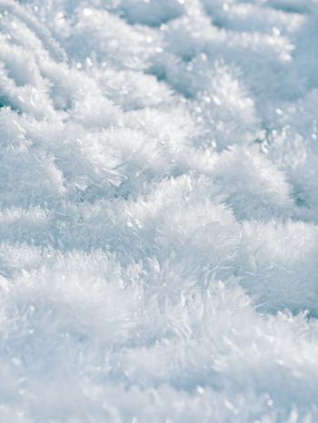 frozen, white, crystal Wallpaper 1668x2224