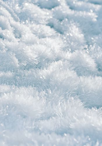 frozen, white, crystal Wallpaper 1668x2388