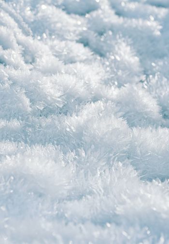 frozen, white, crystal Wallpaper 1640x2360