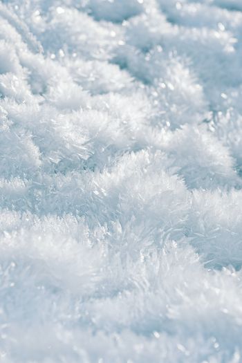 frozen, white, crystal Wallpaper 640x960