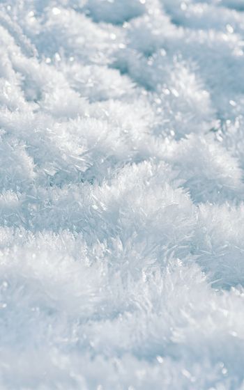 frozen, white, crystal Wallpaper 800x1280