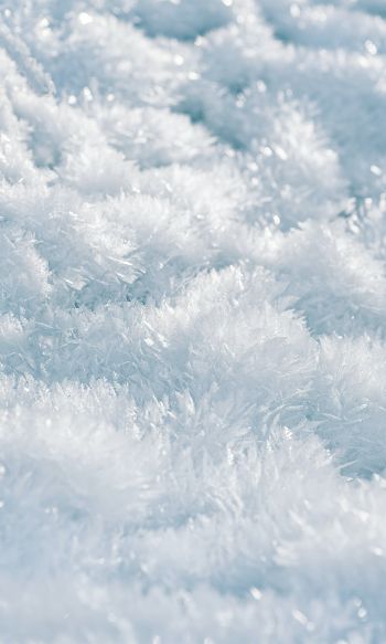 frozen, white, crystal Wallpaper 1200x2000