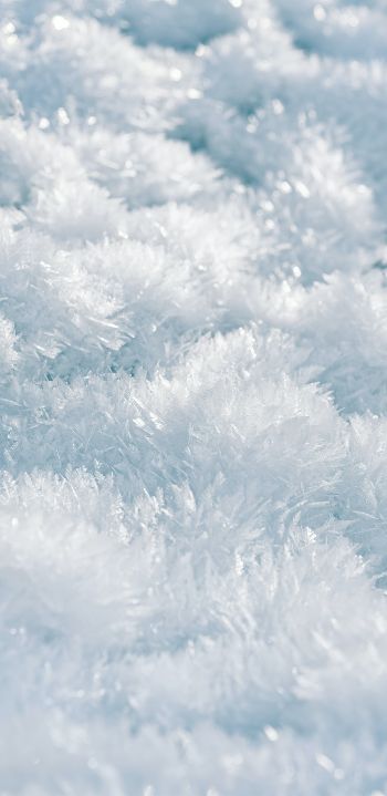 frozen, white, crystal Wallpaper 1080x2220