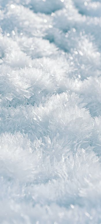 frozen, white, crystal Wallpaper 1440x3200