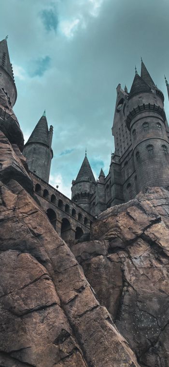 Hogwarts, lock Wallpaper 828x1792