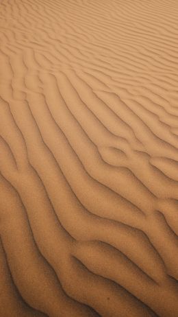 Обои 2160x3840 песок, пустыня