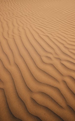 Обои 800x1280 песок, пустыня