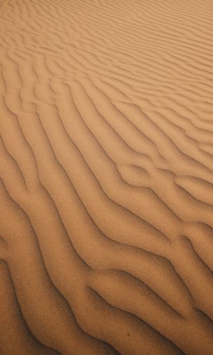 sand, desert Wallpaper 1200x2000