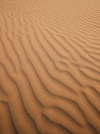 Обои 2048x2732 песок, пустыня