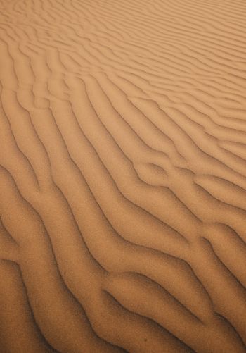 Обои 1668x2388 песок, пустыня