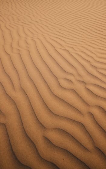 Обои 1752x2800 песок, пустыня