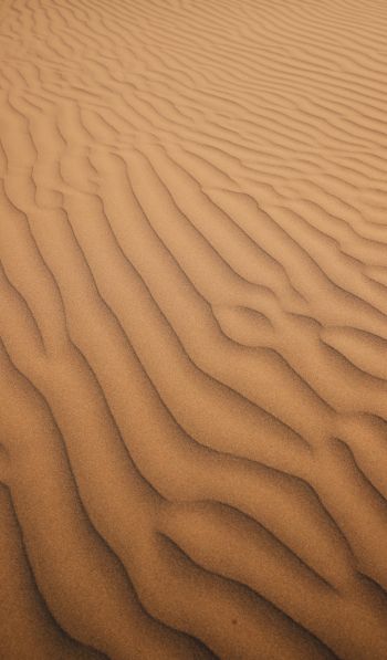 Обои 600x1024 песок, пустыня