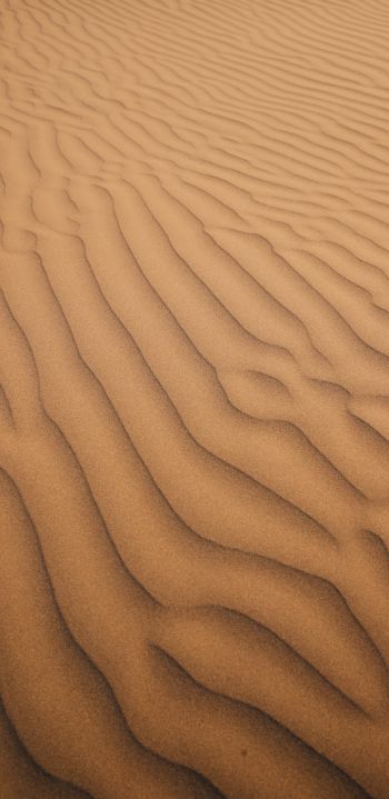 sand, desert Wallpaper 1080x2220