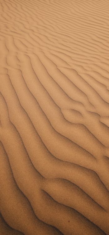 Обои 1284x2778 песок, пустыня