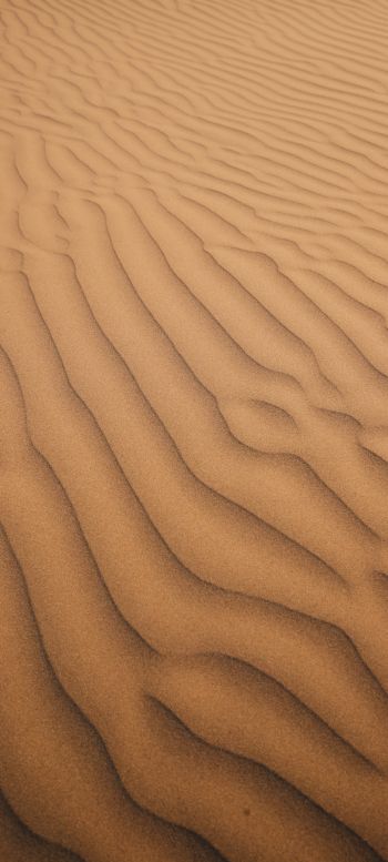 Обои 1080x2400 песок, пустыня