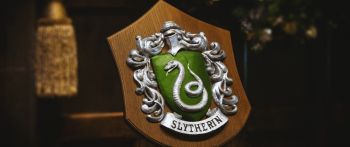 Slytherin, coat of arms Wallpaper 2560x1080