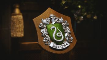 Slytherin, coat of arms Wallpaper 1600x900