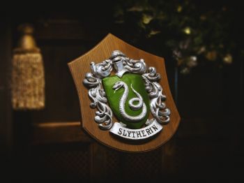Slytherin, coat of arms Wallpaper 800x600