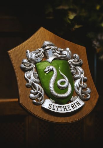 Slytherin, coat of arms Wallpaper 1668x2388