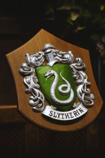 Slytherin, coat of arms Wallpaper 640x960