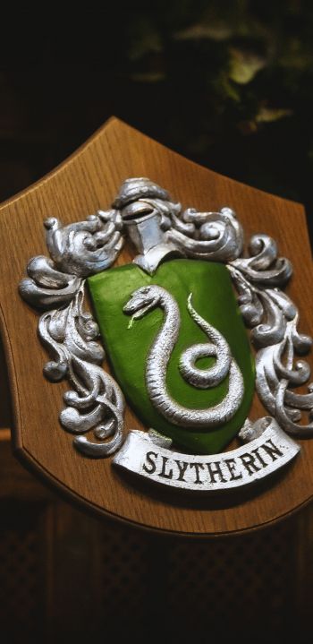 Slytherin, coat of arms Wallpaper 1080x2220