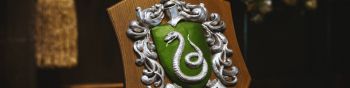 Slytherin, coat of arms Wallpaper 1590x400