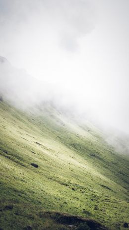 slope, fog Wallpaper 750x1334