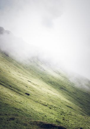 slope, fog Wallpaper 1640x2360